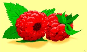 Flowerpot の ラズベリー の絵