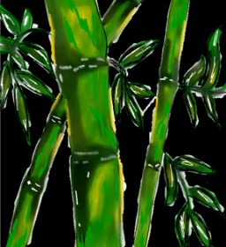 Drawing of Bamboo by XxX