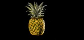 Drawing of Pineapple by Çhåching
