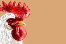 Drawing of Chicken by Mia