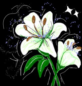 Someone の ユリの花 の絵