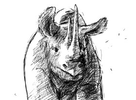 コトワ の サイ の絵