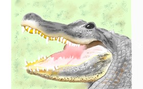 GJP の アリゲーター の絵