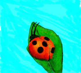 Dettale の てんとう虫 の絵