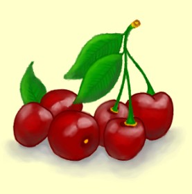 DivyaJose の さくらんぼ の絵