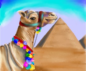 Audrey の ラクダ の絵