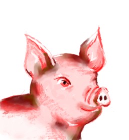 Drawing of Pig by Belem