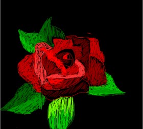 Drawing of Rose by Intern