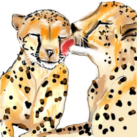 camay の チーター の絵