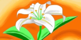 Swimmer の ユリの花 の絵
