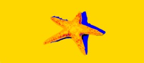 Drawing of Starfish by nova