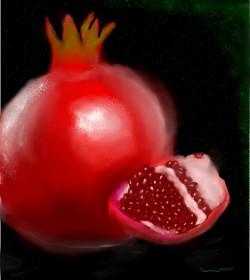 Drawing of Pomegranate by Linky