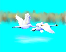 Cec の 白鳥 の絵