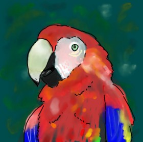 TedsNan の オウム の絵