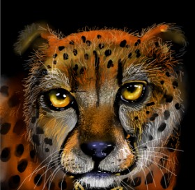 Gepard - autor: Leah