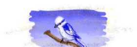 TheDiamond の 鳥 の絵