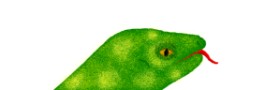 butters の トカゲ の絵