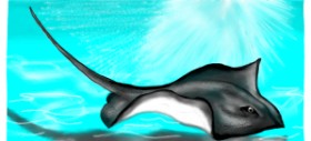 Рисунок на тему «Скат» — автор: DebbyLee