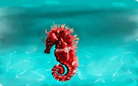 Drawing of Seahorse by Rose rocket