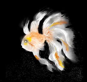 Eclat de Lune の 金魚 の絵