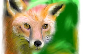 DrawSomething の キツネ の絵