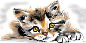 Рисунок на тему «Котенок» — автор: Swimmer