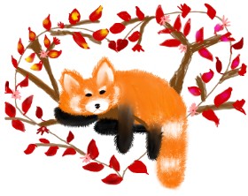 Tokyo の レッサーパンダ の絵