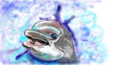 Suzie の イルカ の絵