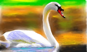 Herbert の 白鳥 の絵