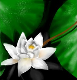Aprix の スイレン の絵