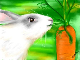 Mrkva - autor: Sophie_draw24
