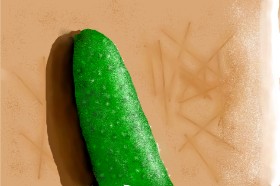 ̃̃̃̃̃calabazin の きゅうり の絵