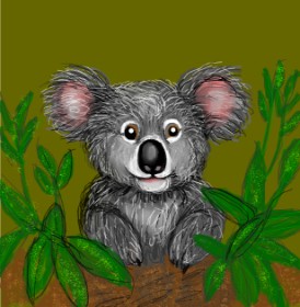 Drawing of Koala by KayXXXlee