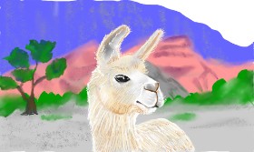 Рисунок на тему «Лама» — автор: Tim