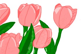 Нямка  の チューリップ の絵