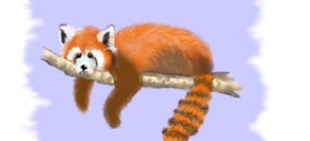 DebbyLee の レッサーパンダ の絵
