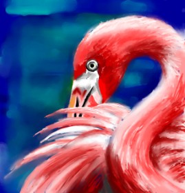 Drawing of Flamingo by ⋆su⋆vinci彡