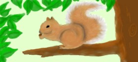 Рисунок на тему «Белка» — автор: Debidolittle