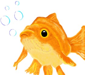 Geo-Pebbles の 金魚 の絵