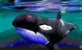 Herbert の クジラ の絵