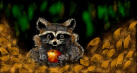 Eclat de Lune の アライグマ の絵