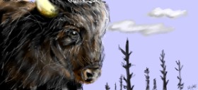 Рисунок на тему «Зубр» — автор: Una persona
