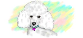 Debidolittle の プードル の絵