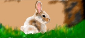 Рисунок на тему «Кролик» — автор: Kim