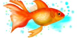 DebbyLee の 金魚 の絵