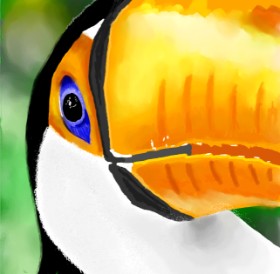 Joze の 鳥 の絵