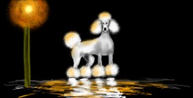 Eclat de Lune の プードル の絵