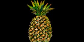 Drawing of Pineapple by Eclat de Lune