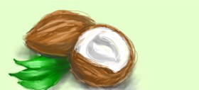 ? の ココナッツ の絵