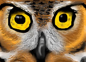 Drawing of Owl by TrillCosby